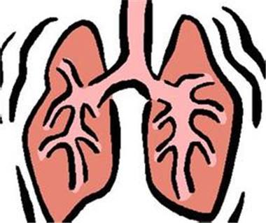 原發(fā)性肺動(dòng)脈高壓