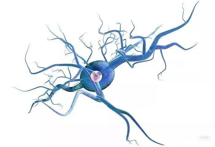 周?chē)窠?jīng)病損