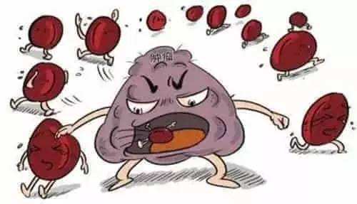 小兒醛固酮過多癥