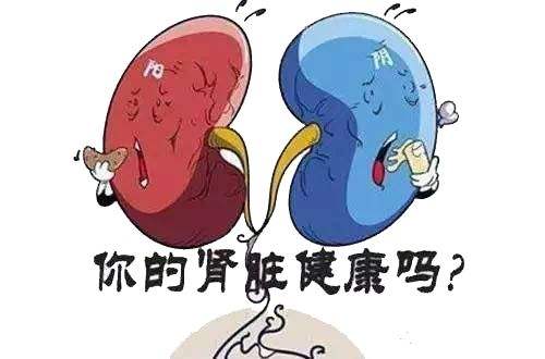 慢性腎炎