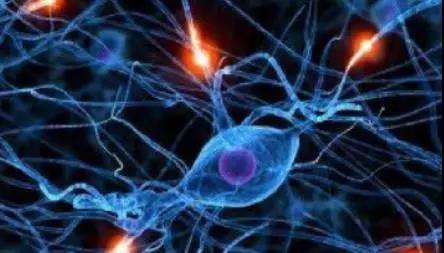 神經(jīng)內(nèi)分泌腫瘤