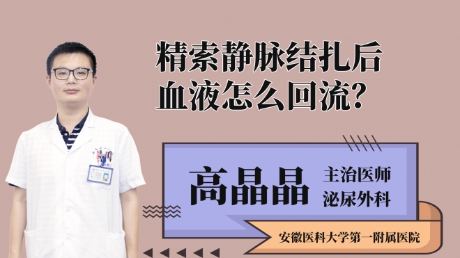 精索靜脈結扎后血液怎么回流？
